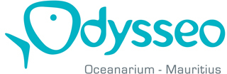 Our Partner