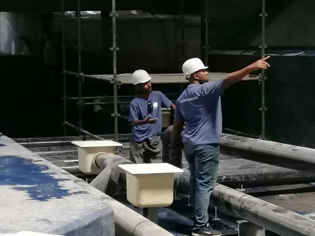 Our team at work